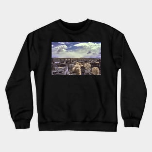 Erfurt Crewneck Sweatshirt